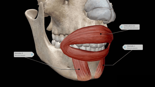 How Abnormal Reflexes Can Indicate Pathologies